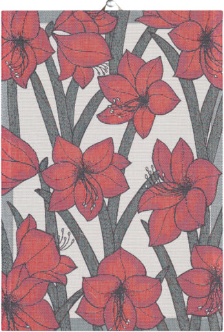 Tea towel 35X50 CHRISTMAS AMARYLLIS