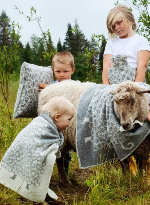 Blanket wool 65x90cm - KILI sheep grey-white