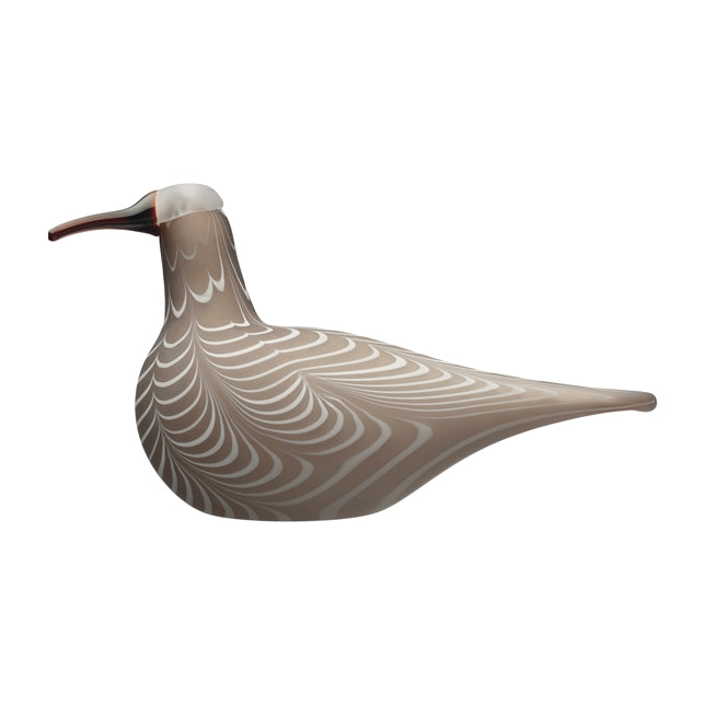 BBT Curlew 350X195mm Sand